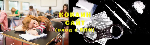 твердый Алексин