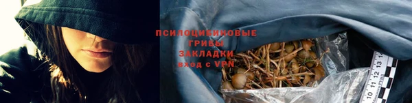 твердый Алексин