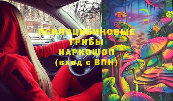 твердый Алексин
