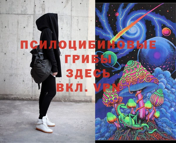 крисы Алексеевка