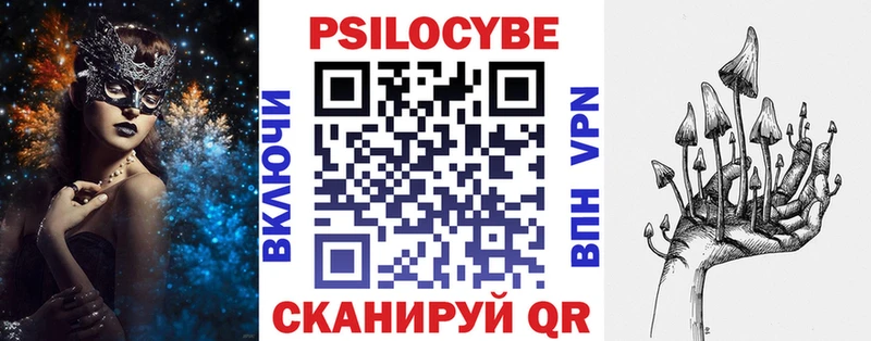 Псилоцибиновые грибы мухоморы  где купить наркоту  Павлово 