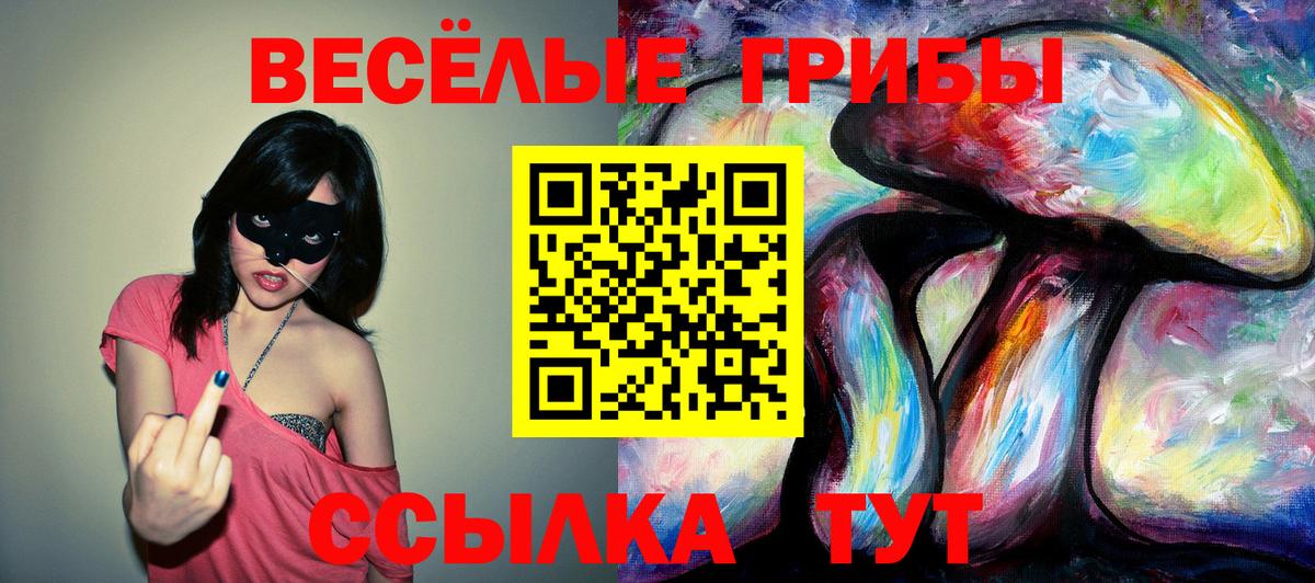 Павлово  Псилоцибиновые грибы Psilocybe  Вход с VPN 