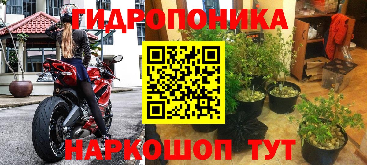 Марихуана White Widow  Каннабис THC 21%  Вход с VPN  Павлово 